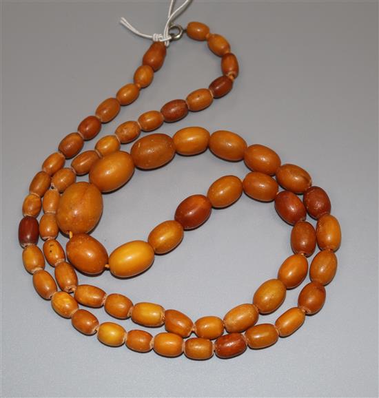 A single strand graduated oval amber bead necklace, gross 44 grams, 78cm.